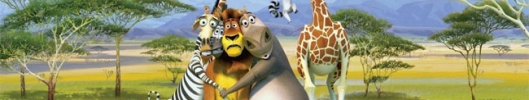 Madagaskar 2